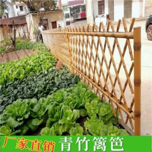 正萬  竹籬笆  園林綠化竹籬笆