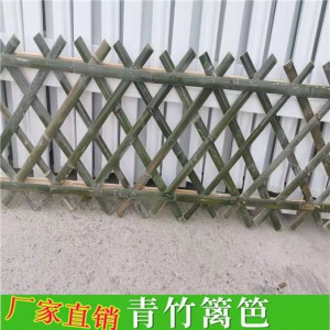 竹竿批發裝飾潢粗楠竹子防腐菜園搭架籬笆柵欄彩旗細竹桿跳舞包郵