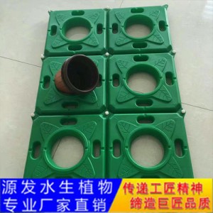 源發(fā)承接各種水生植物凈水綠化工程  生態(tài)浮島