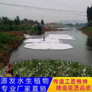 源發(fā)承接各種水生植物凈水綠化工程  生態(tài)浮島