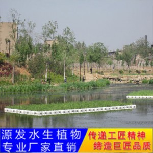 源發承接各種水生植物凈水綠化工程  生態浮島