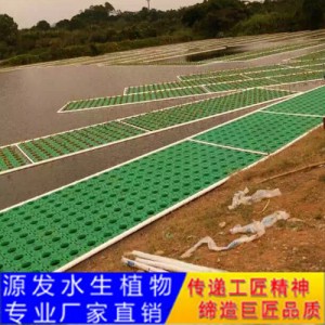 源發承接各種水生植物凈水綠化工程  生態浮島