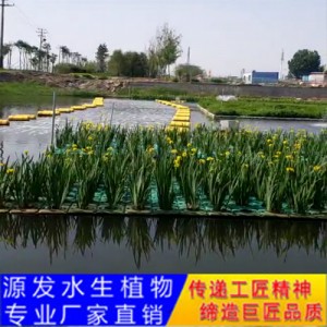 源發(fā)承接各種水生植物凈水綠化工程  生態(tài)浮島