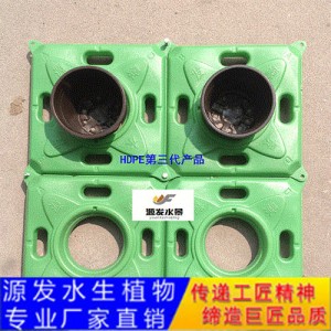 源發(fā)承接各種水生植物凈水綠化工程  生態(tài)浮島