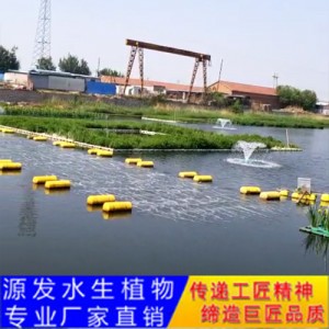 源發承接各種水生植物凈水綠化工程  生態浮島