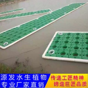 源發承接各種水生植物凈水綠化工程  生態浮島