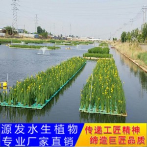 源發承接各種水生植物凈水綠化工程  生態浮島