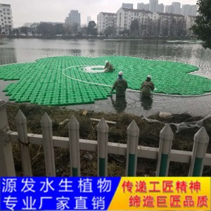 源發承接各種水生植物凈水綠化工程  生態浮島