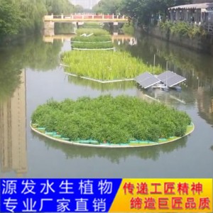 源發承接各種水生植物凈水綠化工程  生態浮島
