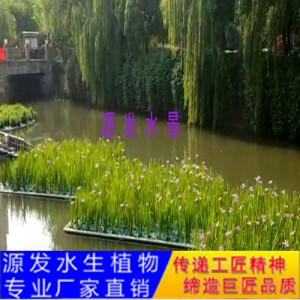 源發(fā)承接各種水生植物凈水綠化工程  生態(tài)浮島