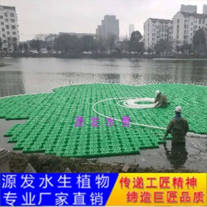 源發(fā)承接各種水生植物凈水綠化工程  生態(tài)浮島