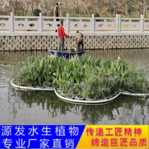 源發(fā)承接各種水生植物凈水綠化工程  生態(tài)浮島